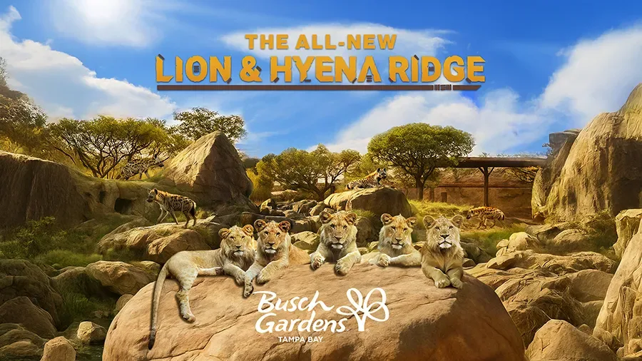 Busch Gardens anuncia expansão com leões e hienas para 2026