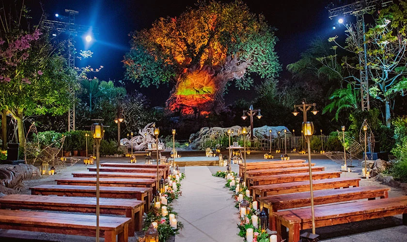 Cerimônia de casamento diante da Árvore da Vida no Disney's Animal Kingdom