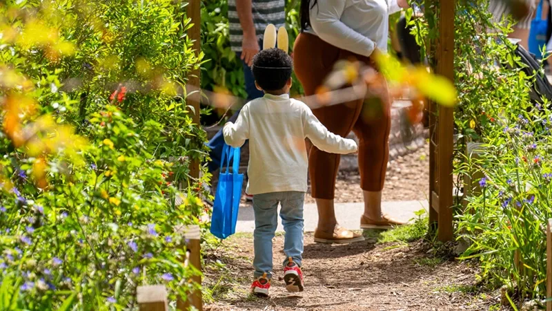 Criança participar de caça aos ovos durante o Hippity Hop Adventure, um evento de Páscoa que acontece no Central Florida Zoo, em Orlando