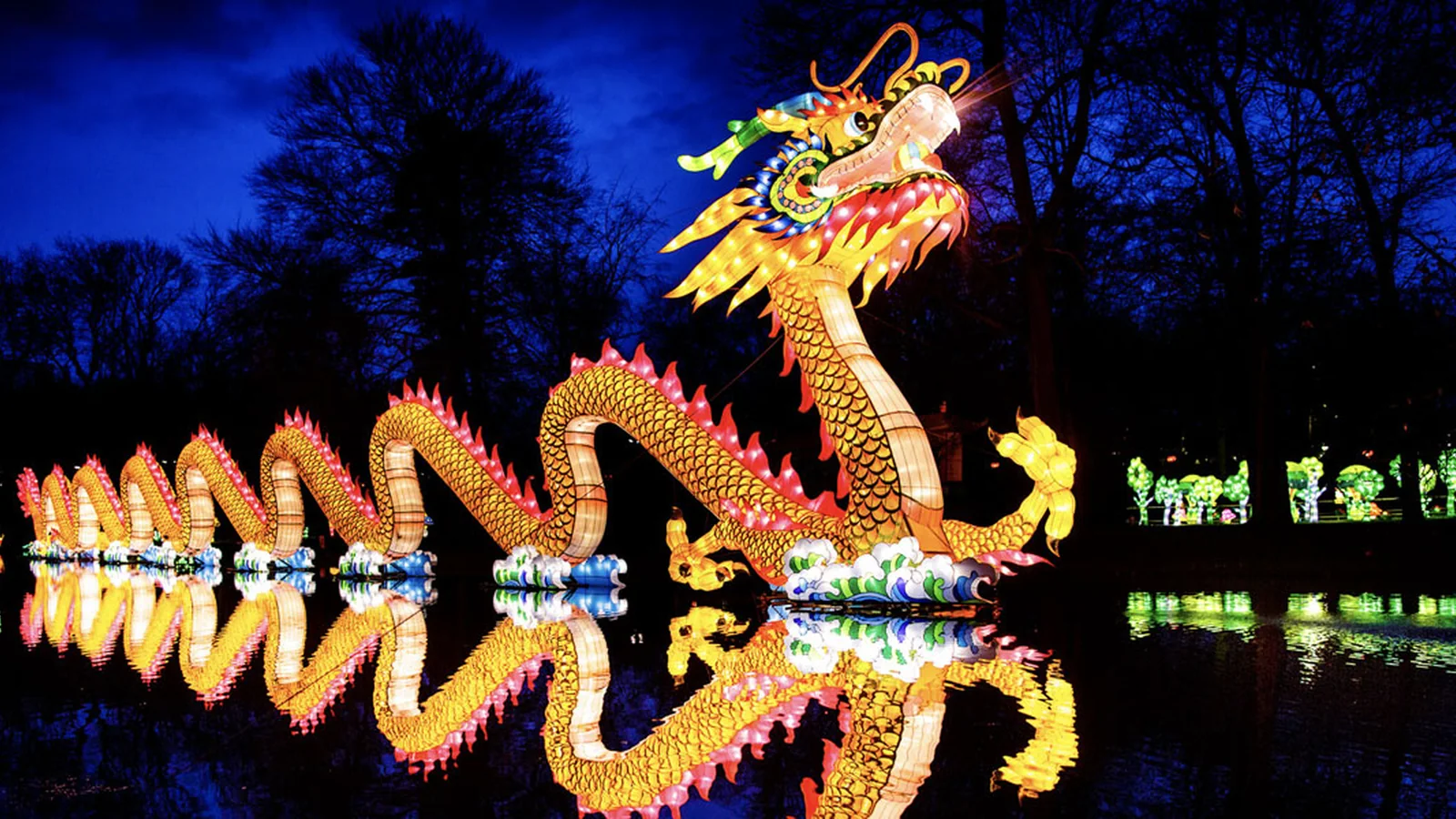 Illuminated dragon at the Asian Lantern Festival in Sanford