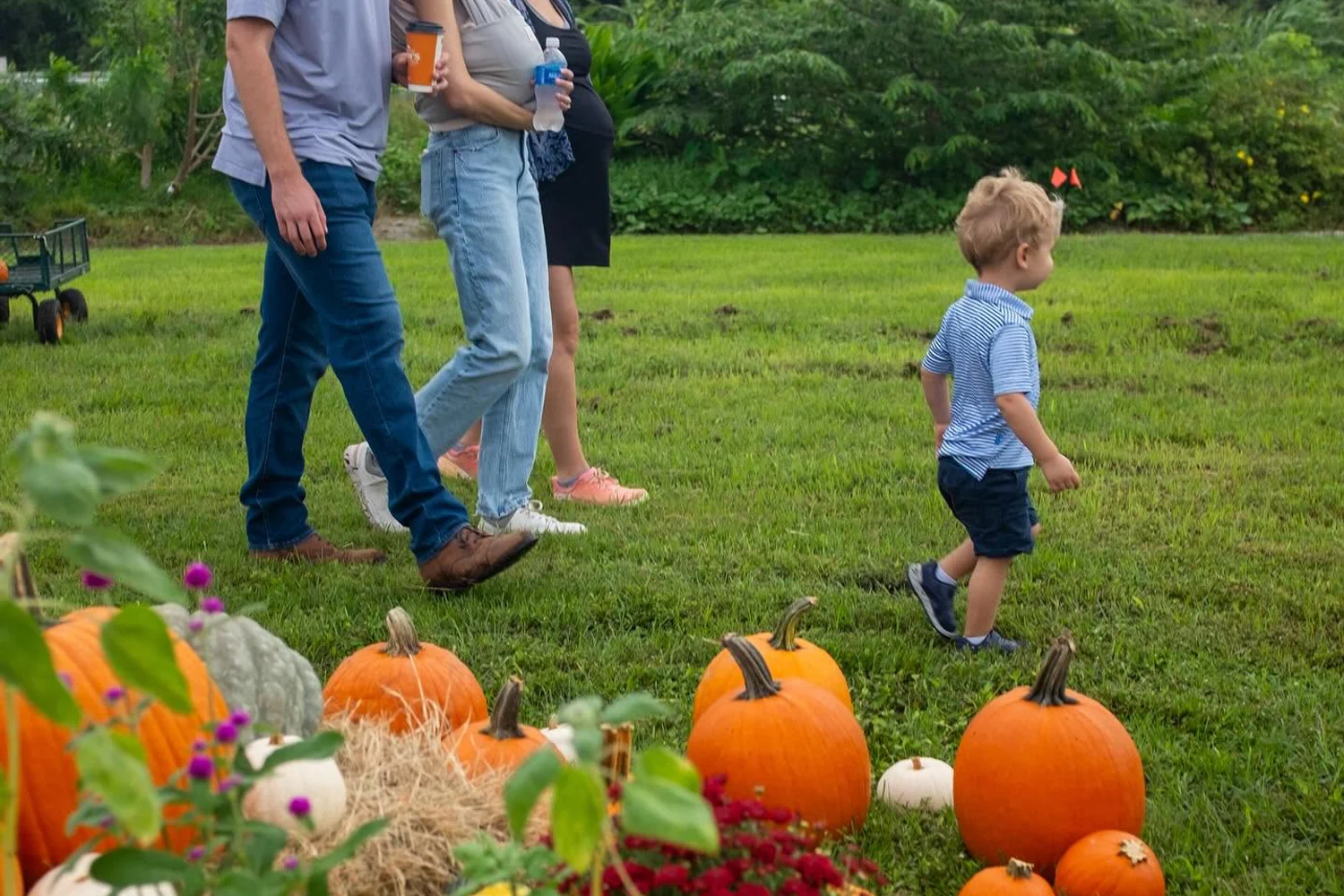4Roots Harvest Festival in Orlando