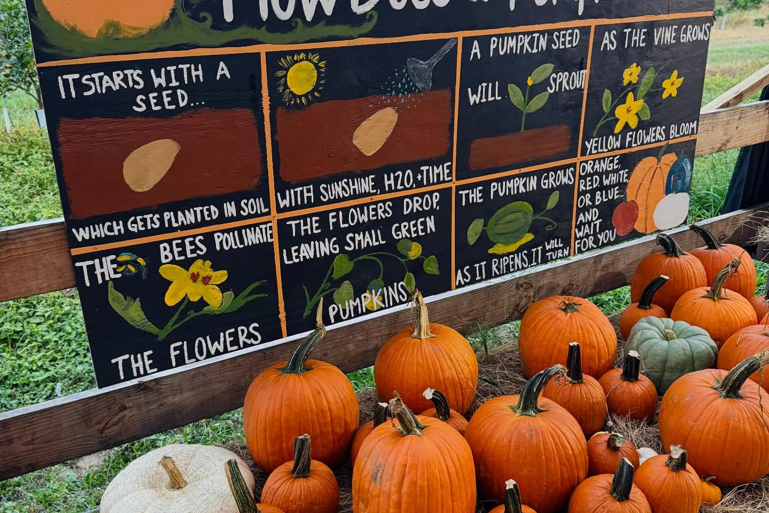Pumpkin Ponderosa at the Showcase of Citrus in Clermont