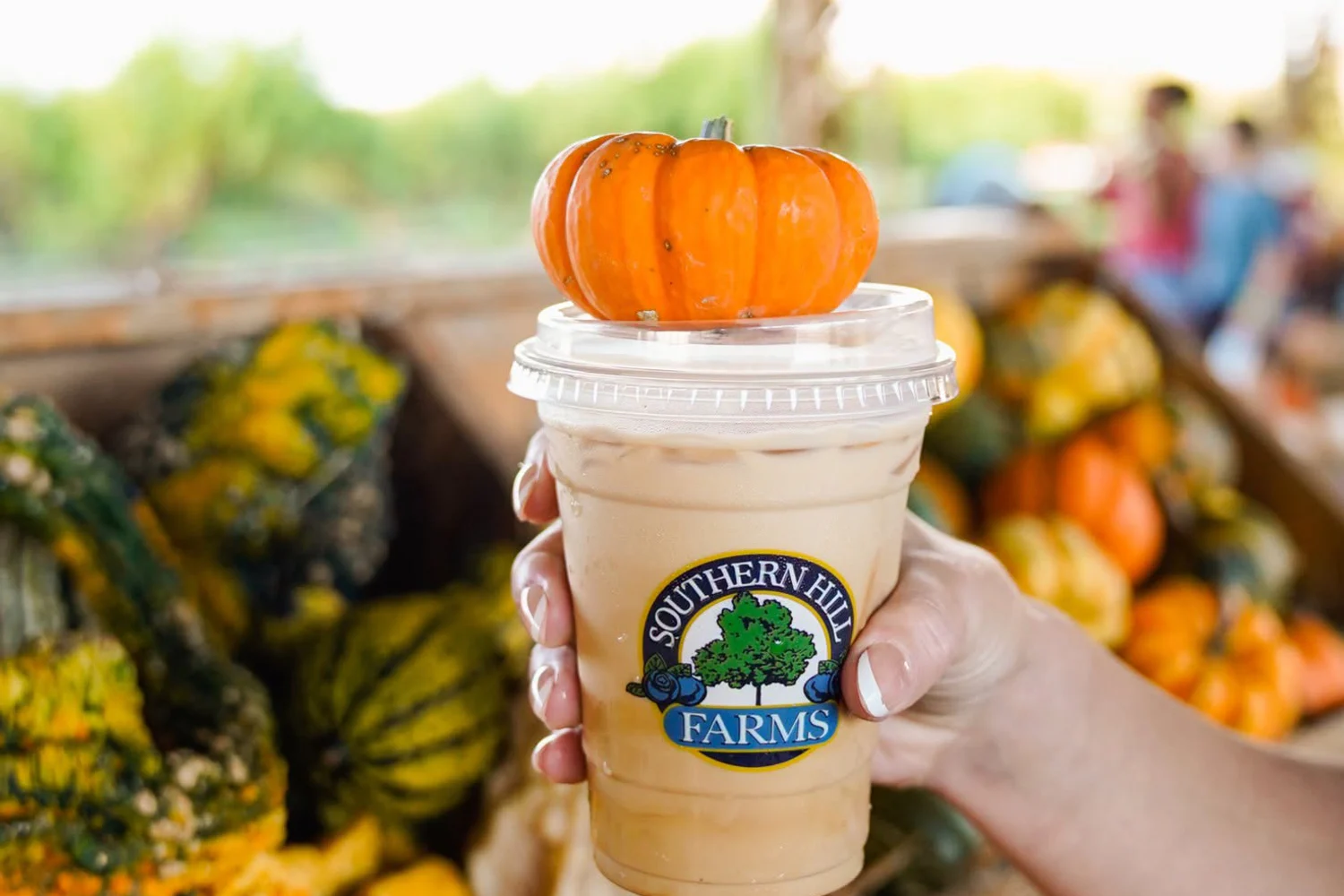 Southern Hill Farms Fall Festival in Clermont