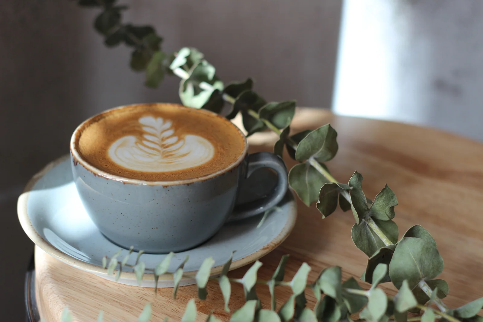 Mejores cafeterías de Orlando: 23 lugares para incluir en tu itinerario