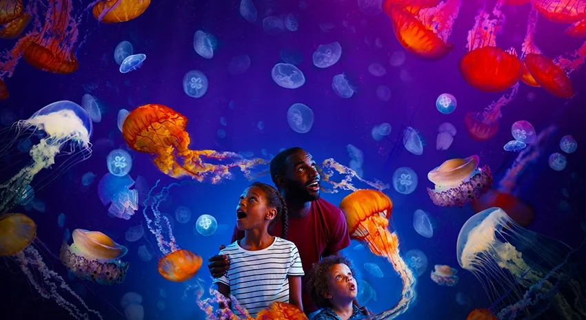 Família se surpreende com o novo aquário de Orlando, o Sea Life Florida, que abre em 2025