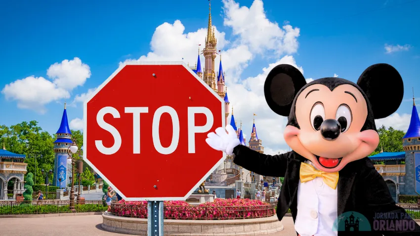 Disney: itens proibidos e permitidos nos parques