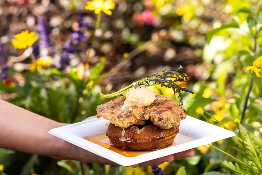 Festival gastronômico do EPCOT terá gastronomia de diversos países