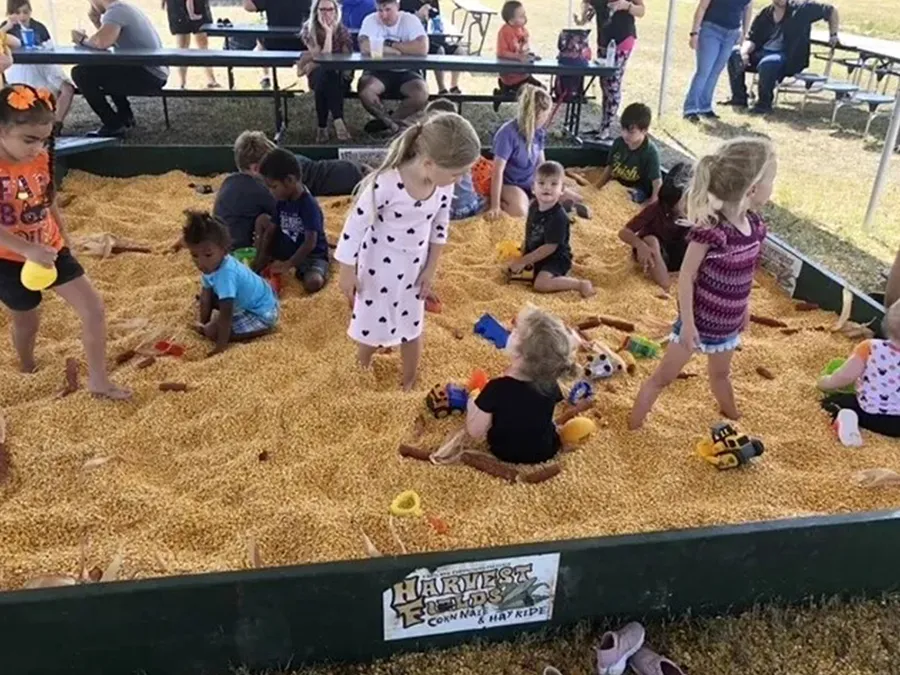 Crianças brincam em uma caixa com grãos de milho durante festival de outono da flórida