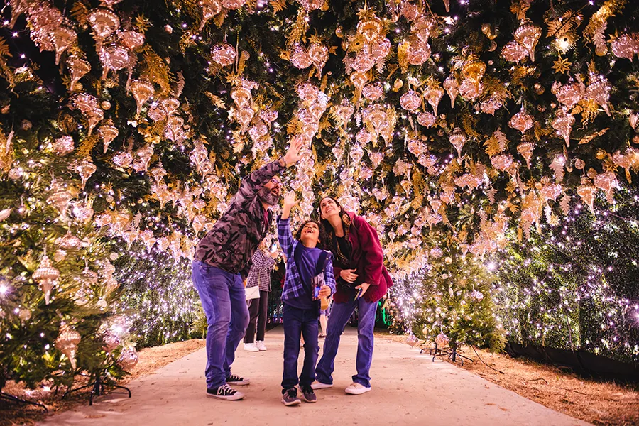 Família observa Lustres de cristal gigantes pendurados nas árvores do Dazzling Nights