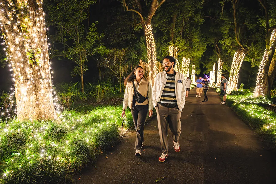Casal caminha pelos jardins iluminados do Harry P. Leu Gardens